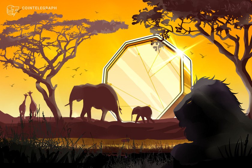 Central African Republic president launches crypto initiative following Bitcoin adoption 1