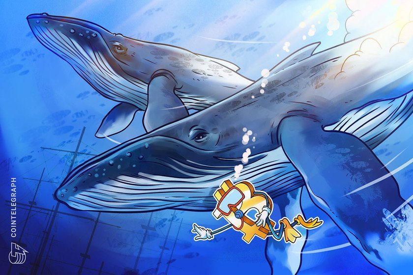 How Bitcoin whales make a splash in markets and move prices 1