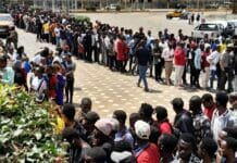 Kenya’s WorldCoin Mania: Free Digital Wealth Excites Thousands