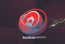 Is BarnBridge a Sleeping DeFi Giant? Scarcity, Use Cases, and the Bull Run Bet