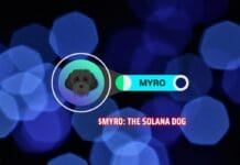 Bull Run Incoming? Myro’s Untapped Potential Primed for Explosive Growth