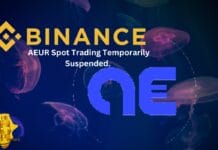 Binance Halts AEUR Spot Trading Amid Price Volatility